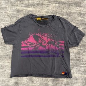 Aviator Nation Cropped Tee Shirt (size M)